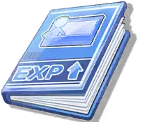 EXP Notebook